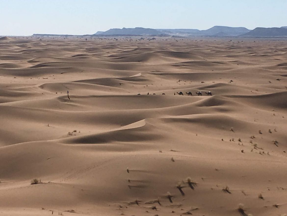 Sejour bien etre Maroc