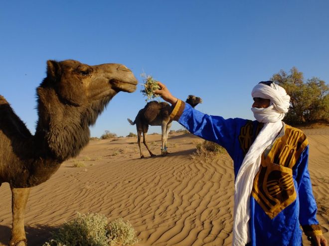 nomade du Sahara